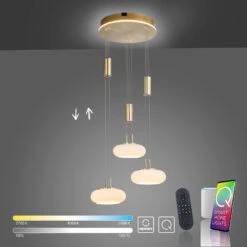 Paul Neuhaus Q-ETIENNE Hängelampe Rondell, Messing -Eleganter Beleuchtungsladen 10001433 7