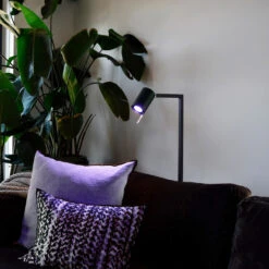 Calex Smart LED-Reflektor GU10 4,9W RGB CCT 2er -Eleganter Beleuchtungsladen 10011101 5