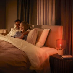 Philips Hue White&Color Ambiance E14 5,1W 470 Lm -Eleganter Beleuchtungsladen 10015470 8