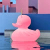 LED-Designleuchte DUCK-DUCK XL Für Außen In Pink -Eleganter Beleuchtungsladen 10016419