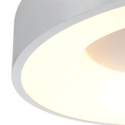 LED-Deckenleuchte Ringlede, 2.700 K Ø 38 Cm Silber -Eleganter Beleuchtungsladen 10019306 3