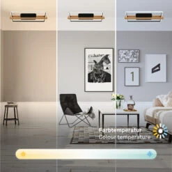 LED-Deckenlampe 3769015 CCT Mit Fernbedienung -Eleganter Beleuchtungsladen 10019458 4