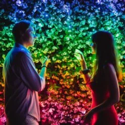 Lichterkette Twinkly RGB, Schwarz, 400-flammig 32m -Eleganter Beleuchtungsladen 6102015 5