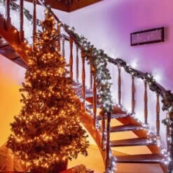 Lichterkette Twinkly CCT Schwarz 400-flammig 32m -Eleganter Beleuchtungsladen 6102031 5