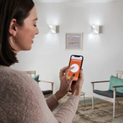 LEDVANCE SMART+ WiFi Orbis Wall Cross, 30 X 15 Cm -Eleganter Beleuchtungsladen 6106550 2