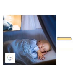 Müller Licht Tint Dimming LED-Lampe E27, 9W 2.700K -Eleganter Beleuchtungsladen 6520307 2