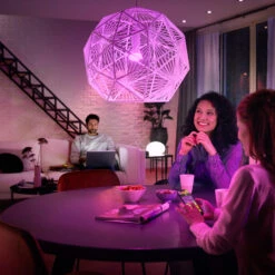 Philips Hue White&Color Ambiance 6,5W E27 2er-Set -Eleganter Beleuchtungsladen 7534124 6