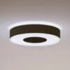 Philips Hue Infuse LED-Deckenlampe 38,1cm, Schwarz -Eleganter Beleuchtungsladen 7534303