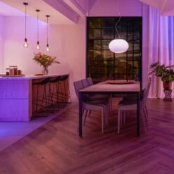 Philips Hue Wandschalter-Modul, 2er Packung -Eleganter Beleuchtungsladen 7534336 7