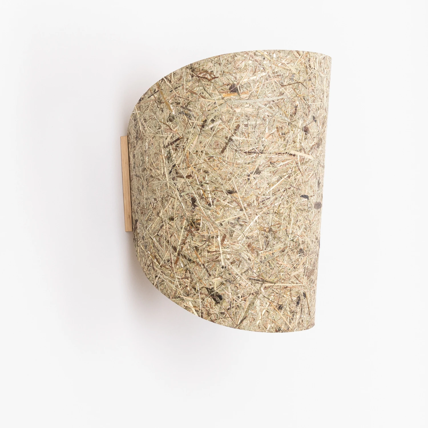 ALMUT 1411 Wandleuchte Geschwungen, Pures Heu 5 ALMUT 1411 Wandleuchte Geschwungen, Pures Heu – Bild 3