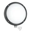 STEINEL L 330 S LED-Außenwandleuchte Sensor -Eleganter Beleuchtungsladen 8505750