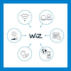 WiZ G95 LED-Lampe E27 7W Globe Amber CCT 15 WiZ G95 LED-Lampe E27 7W Globe Amber CCT -Eleganter Beleuchtungsladen 9038174 6